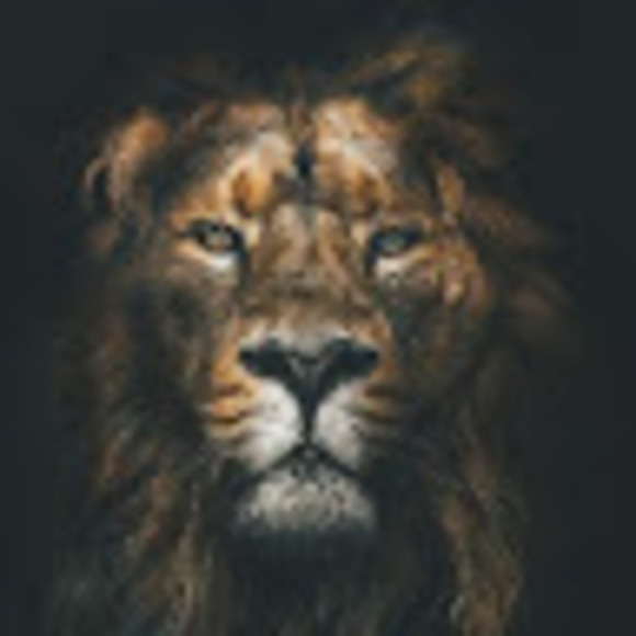 i_catanzaro